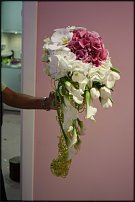 www.floristic.ru - .  .