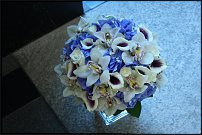 www.floristic.ru - .  .