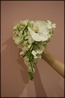 www.floristic.ru - .  .