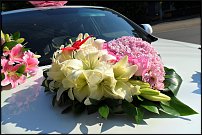 www.floristic.ru - .  .