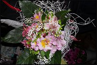 www.floristic.ru - .  .