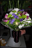 www.floristic.ru - .  .