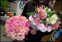 www.floristic.ru - .  .