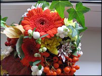 www.floristic.ru - .  !!