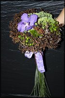 www.floristic.ru - .  !!