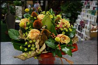 www.floristic.ru - .  !!