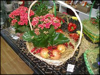 www.floristic.ru - .       - ?