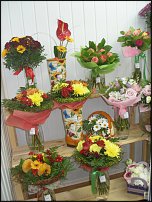 www.floristic.ru - .       - ?