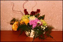 www.floristic.ru - .      .