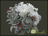 www.floristic.ru - . 