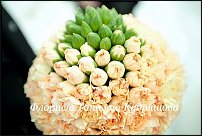 www.floristic.ru - . 