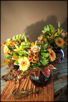 www.floristic.ru - .  !!