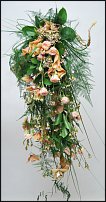 www.floristic.ru - .  .