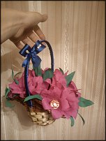 www.floristic.ru - .     -,  ..