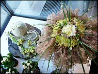 www.floristic.ru - .       - ?