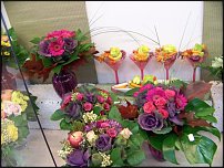 www.floristic.ru - .       - ?