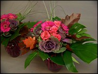 www.floristic.ru - .       - ?