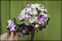 www.floristic.ru - .  .