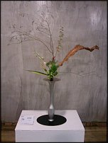 www.floristic.ru - .  . .    .