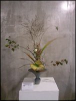 www.floristic.ru - .  . .    .