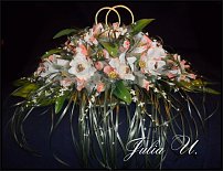 www.floristic.ru - .     -,  ..