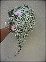 www.floristic.ru - .  .