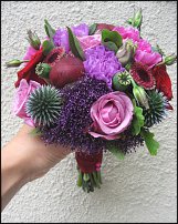 www.floristic.ru - .  .