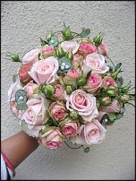 www.floristic.ru - .  .