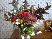 www.floristic.ru - .  !!