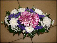 www.floristic.ru - .    !!!