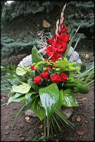 www.floristic.ru - .      