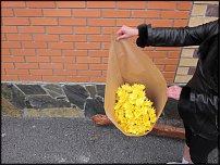 www.floristic.ru - Флористика. Коробки и пакеты для цветов