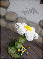 www.floristic.ru - .   ....