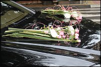 www.floristic.ru - .  