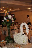 www.floristic.ru - .  .