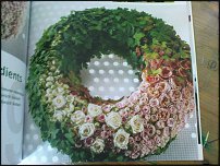 www.floristic.ru - .  ....   .