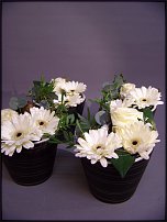 www.floristic.ru - .       - ?