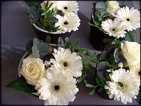 www.floristic.ru - .       - ?