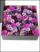 www.floristic.ru - .     -   !