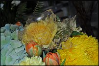 www.floristic.ru - .   ( ) 