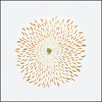 www.floristic.ru - . , !
