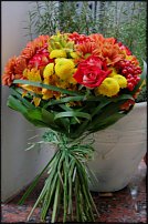 www.floristic.ru - .  !!