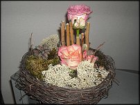 www.floristic.ru - . ,  .