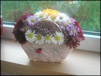 www.floristic.ru - . ,  .