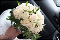 www.floristic.ru - .  .