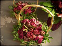 www.floristic.ru - . ,  .