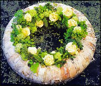 www.floristic.ru - .  ....   .