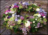 www.floristic.ru - .  ....   .