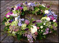 www.floristic.ru - .  ....   .