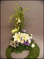 www.floristic.ru - .  ....   .